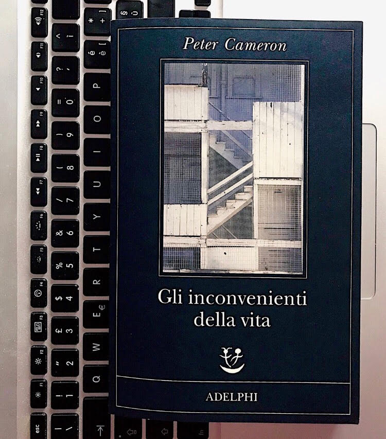 gli inconvenienti della vita_copertina